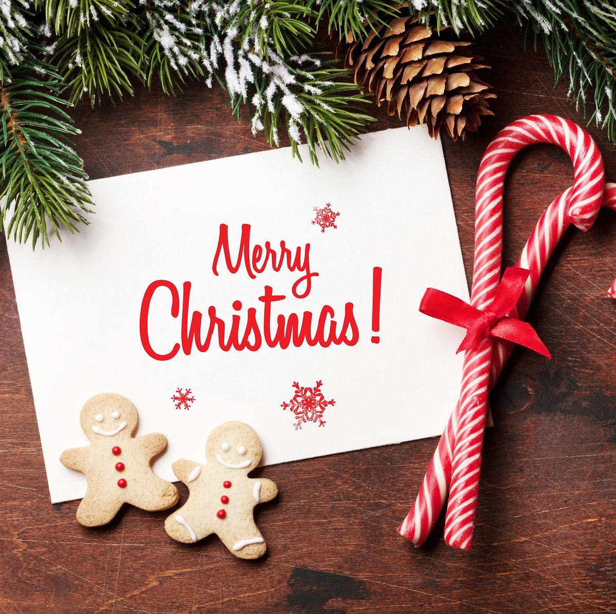 Merry Christmas everyone from the mosshaselhurst family! ❤️