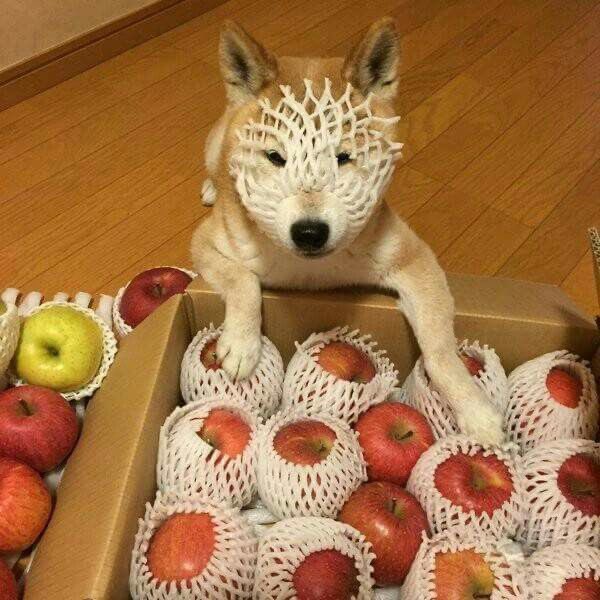 twaniimals's tweet photo. https://t.co/BN1uFigS0g