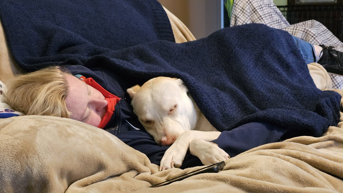 drnik46's tweet image. Everybody's tuckered out. #DailyRio #RubyRoo