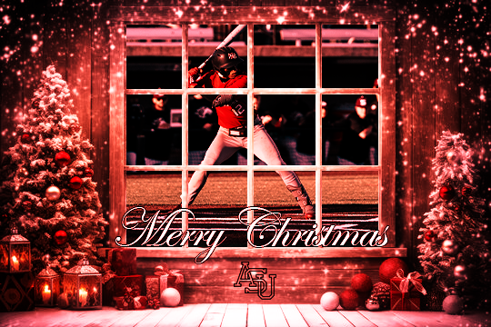 Merry Christmas to all!

#WolvesUp🐺