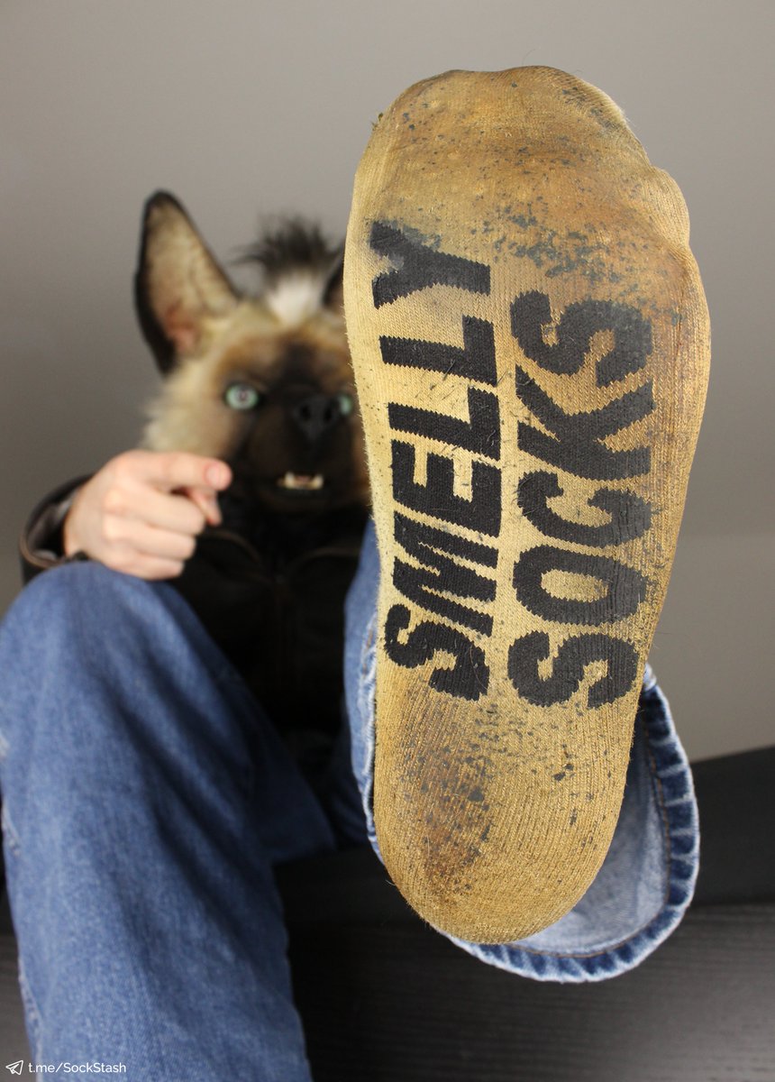 Even without a mistletoe above it, you'll still happily kiss that filthy sock, right?

It's got the work of almost an entire year put into it after all. And the smell it will leave on your face will be the best present of the year.

Merry Christmas to all of you sock-sniffers ~