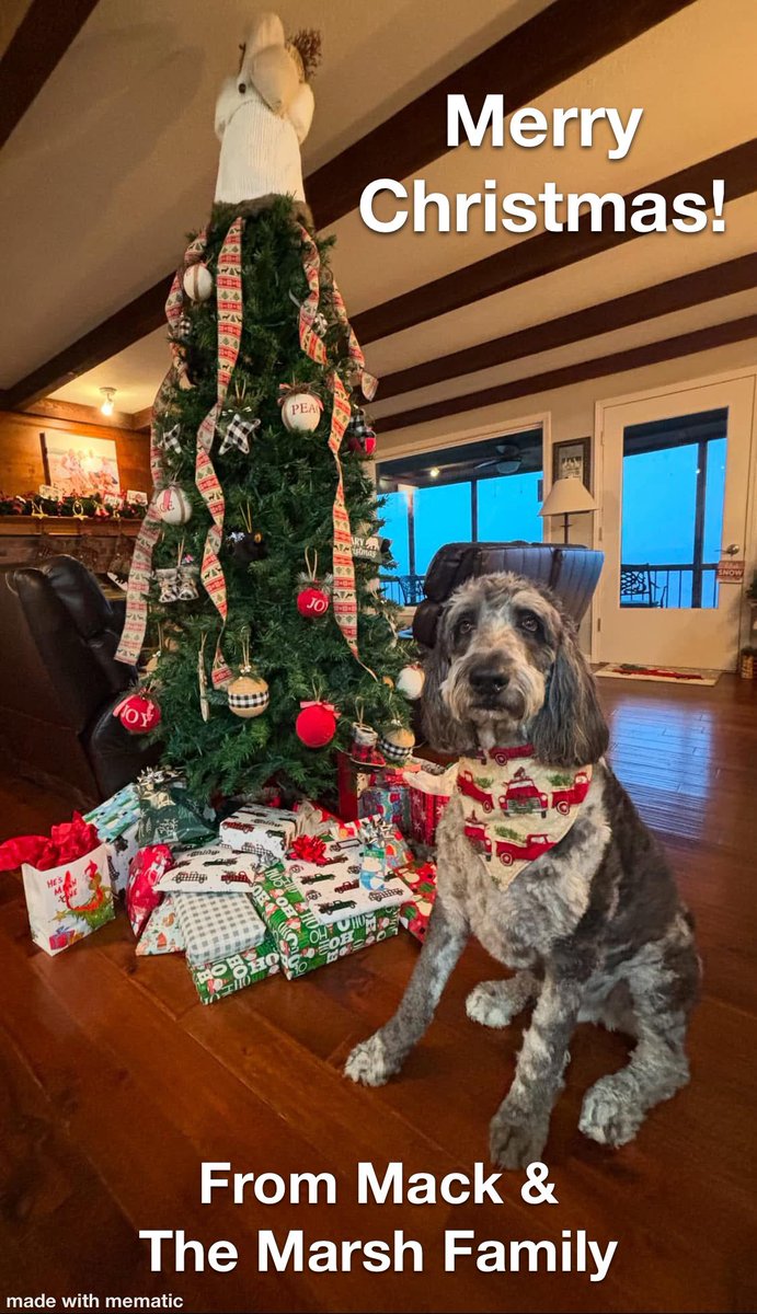 Marty M. Marsh tweet media