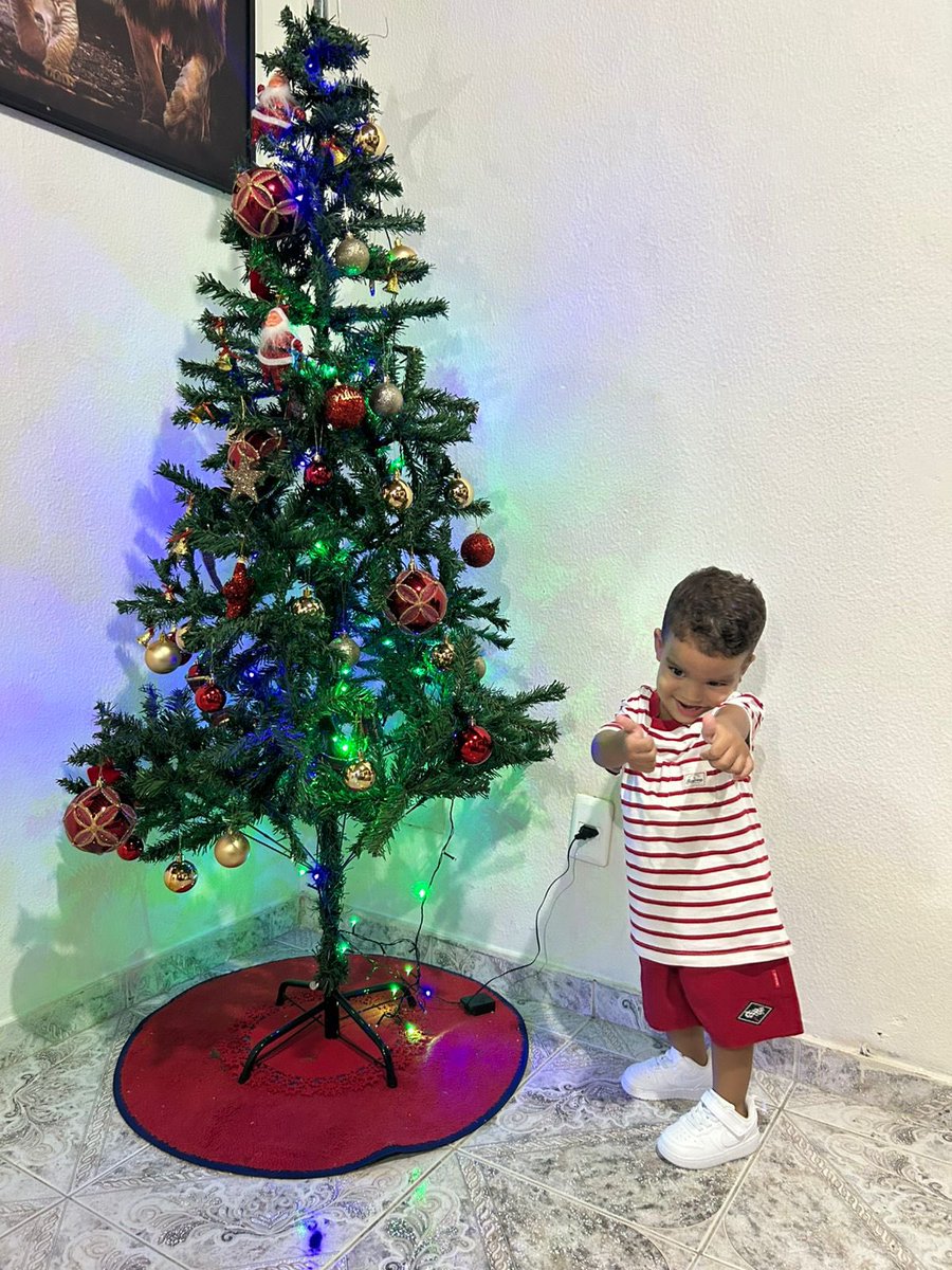 euanashellen's tweet photo. Feliz natal dos meus vidos 🎄🥰 https://t.co/03irz81Cf1