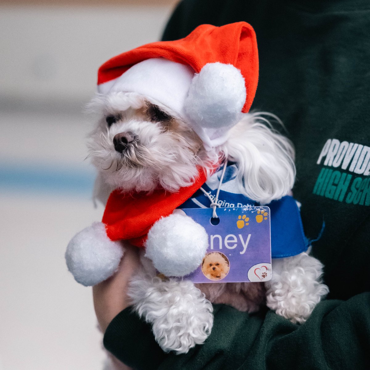 Merry Christmas &amp; Happy Holidays from our Pioneer family to yours🎁 
•
•
•
#GoPioneers #PioneersTogether #HappyHolidays