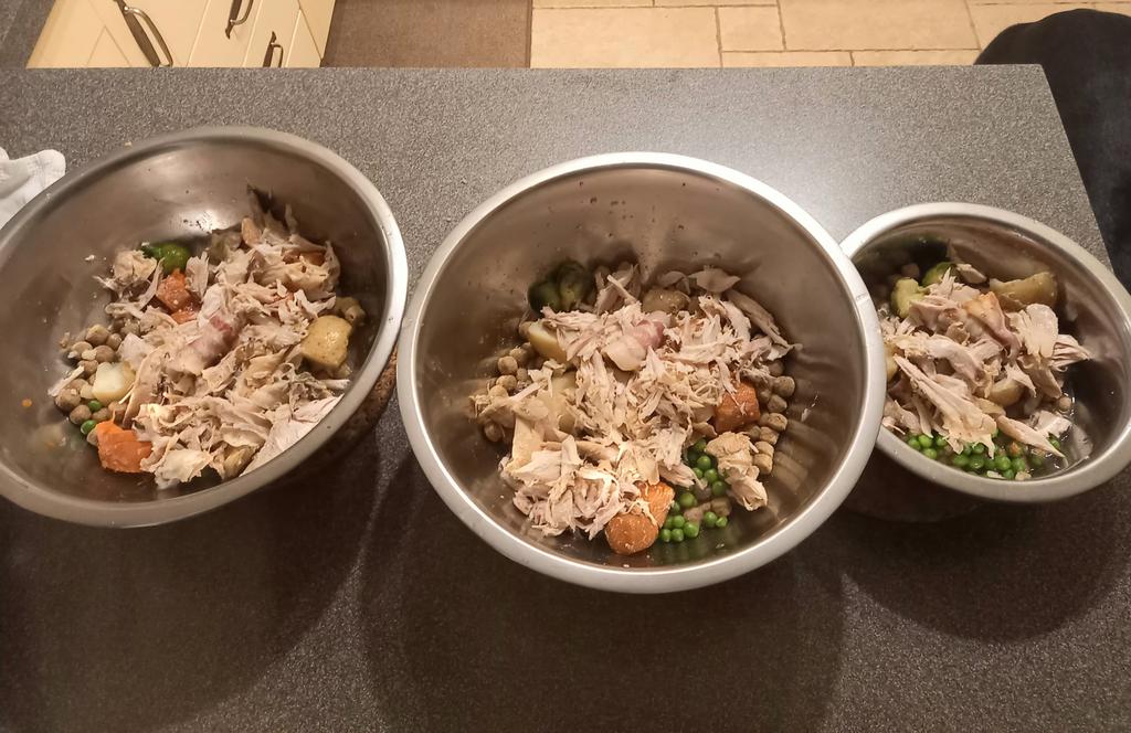 Saffy, Dave and 🌈Jack Greyhound 💖 tweet media