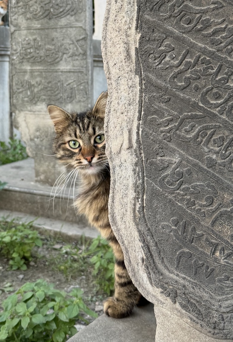 Simon Waddington tweet media