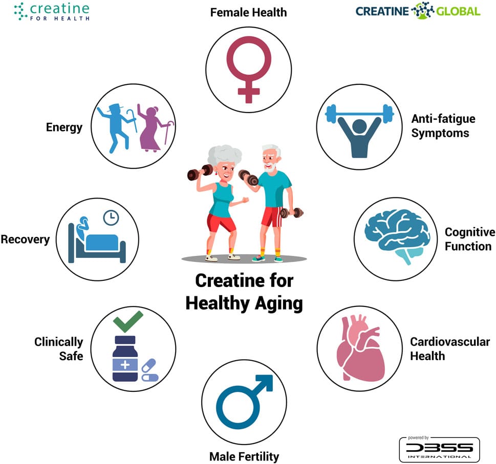 MohammedAlo's tweet photo. The Power of Creatine Plus Resistance Training for Healthy Aging

Creatine monohydrate supplementation (≥5 g/day; 0.1–0.14 g/kg/day) during a resistance training program has potential benefits:

🫀 Improve cardiovascular health
💪 Improve energy
✅ Enhance recovery
🧠 Improve cognitive function
🚺 Support female health
🚹 Support male fertility
⚡ Generate anti-fatigue outcomes
💊 Clinically safe for daily use

Overall, creatine supplementation combined with resistance training is a safe and effective approach to counter sarcopenia's progression.

Review Link: https://t.co/K8m5ifqZ2l