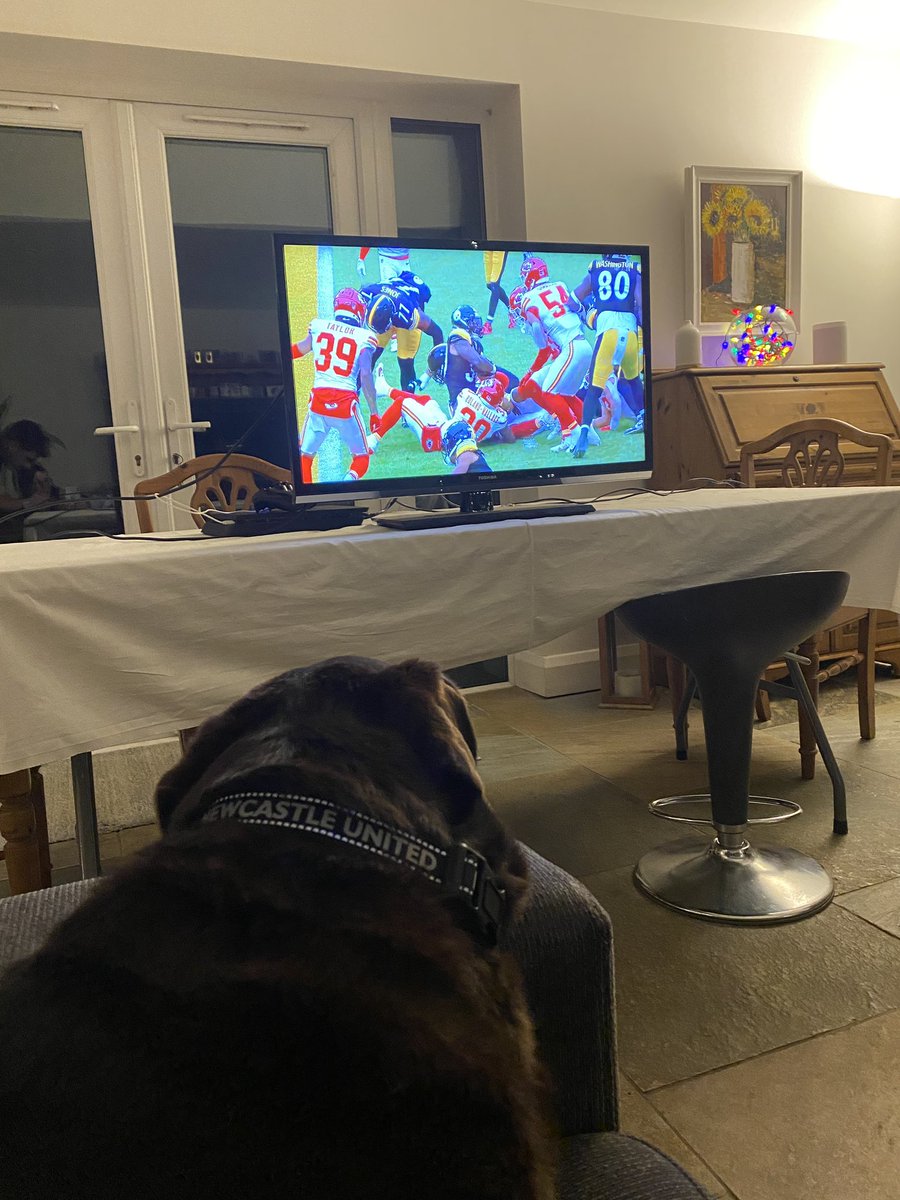 Rose watching from UK  <a href="/Chiefs/">Kansas City Chiefs</a> wearing her new <a href="/NUFC/">Newcastle United</a> collar. #KCvsPIT #NFLONNETFLIX   <a href="/NFLUKIRE/">NFL UK & Ireland</a> <a href="/drewbrees/">Drew Brees</a> <a href="/ScottHanson/">Scott Hanson</a> #NFL