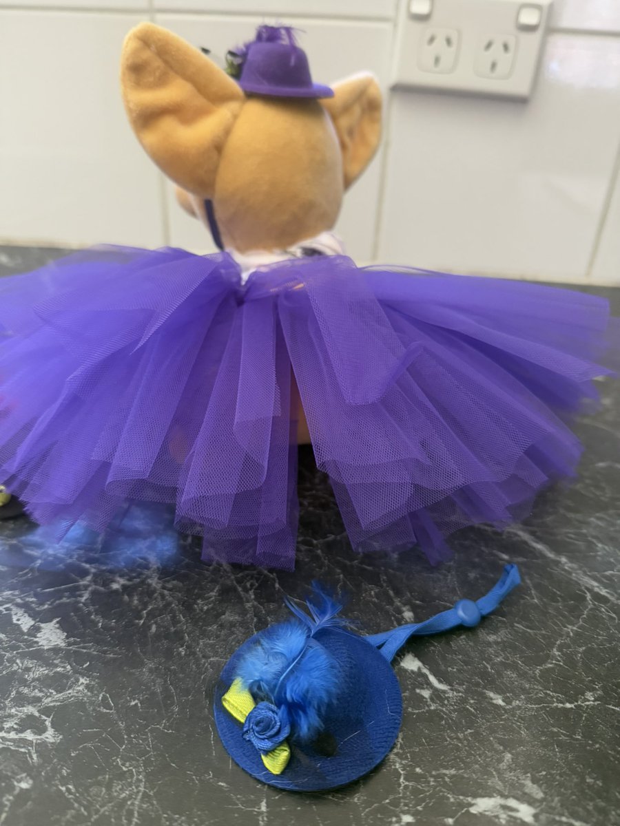 Mini_Tink_'s tweet image. Thank you @GraciesWorld3 for my beautiful presents. I look so beautiful wearing this 🩷

#minitink #plushiesoftwitter #dogsoftwitter #tatertotsquad