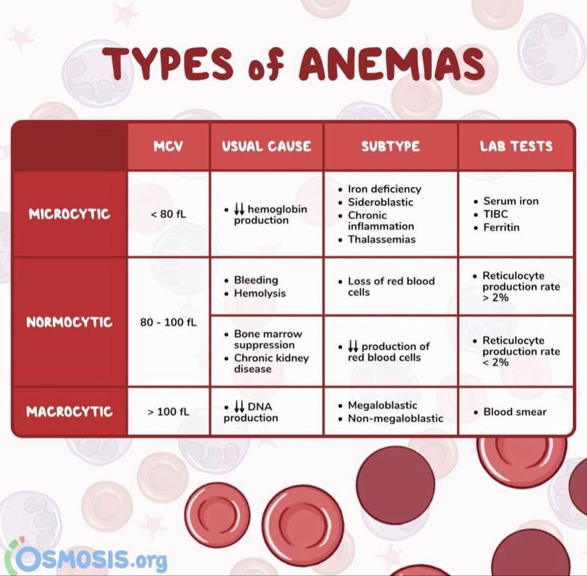 S77rv's tweet photo. Anemia Types 🌟🌟

Save it https://t.co/ZXDkNMTZZi
