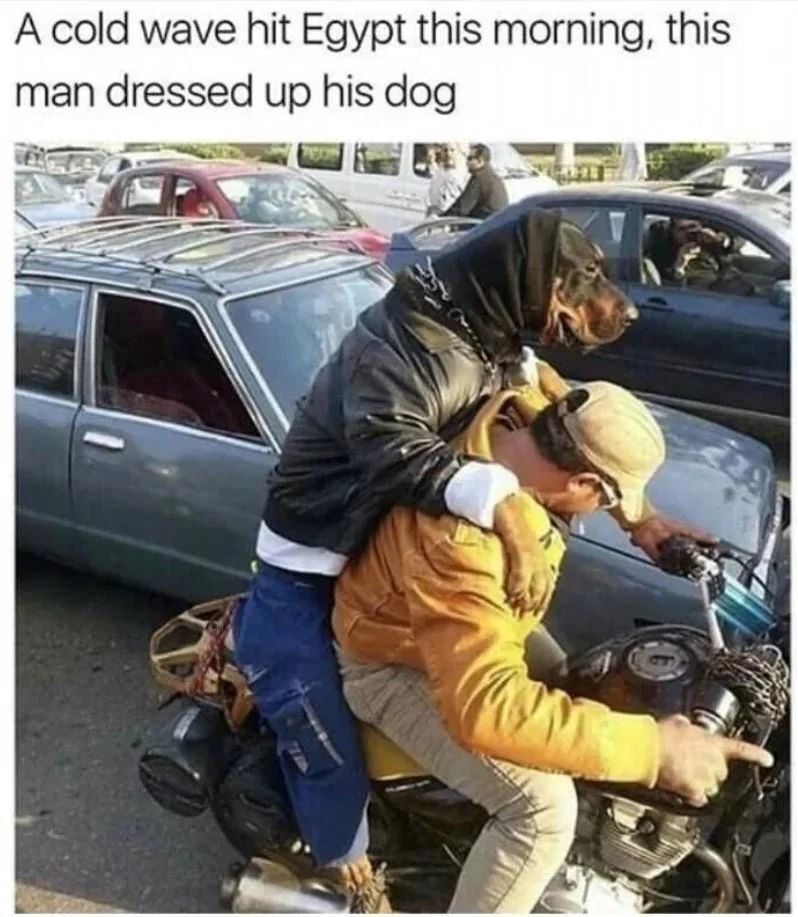 WholesomeMeme's tweet photo. https://t.co/G7S3UOCq0j