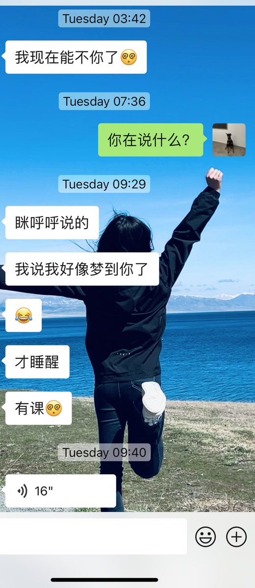 suck my dick tweet media