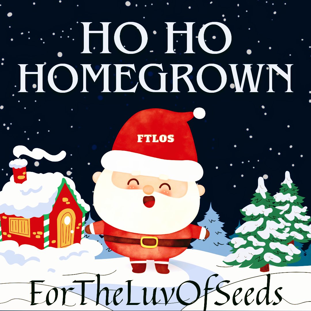 ForTheLuvOfSee2's tweet photo. Ho Ho Homegrown! ๐ฑ๐ฅ๐ฅณ
Wishing all a Merry Christmas ๐ & heavy harvests in the year ahead! ๐
#GrowYourOwn #BioBuds
#WeedLife #ForTheLuvOfSeeds https://t.co/55dsxdYVG8