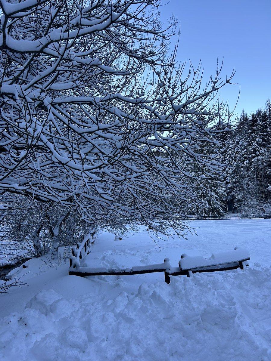 AlessandraDini's tweet photo. #appenninotoscoemiliano #rifugiolagdei #corniglio toccata e fuga in Emilia Romagna 🎄🎅 🥶 https://t.co/8mH4G6DE4x
