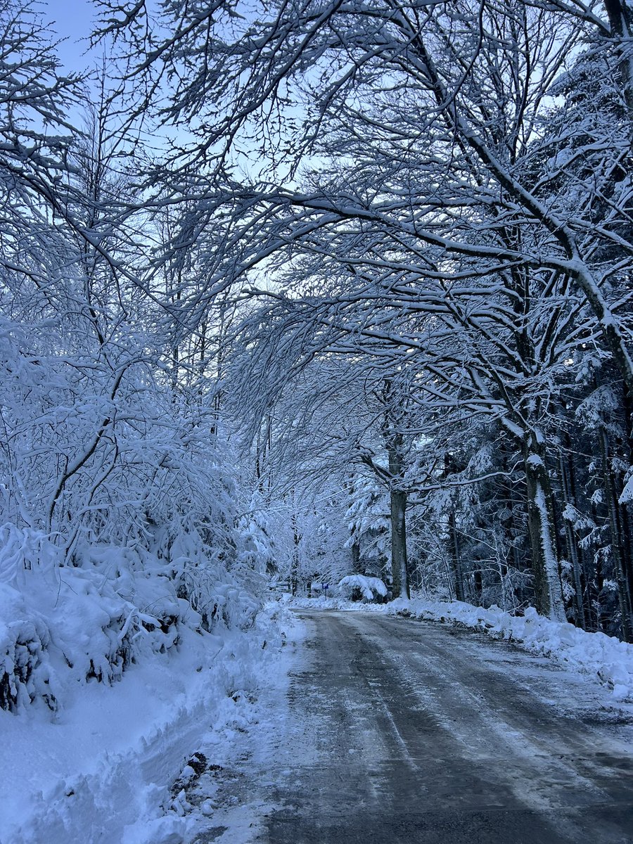 AlessandraDini's tweet photo. #appenninotoscoemiliano #rifugiolagdei #corniglio toccata e fuga in Emilia Romagna 🎄🎅 🥶 https://t.co/8mH4G6DE4x