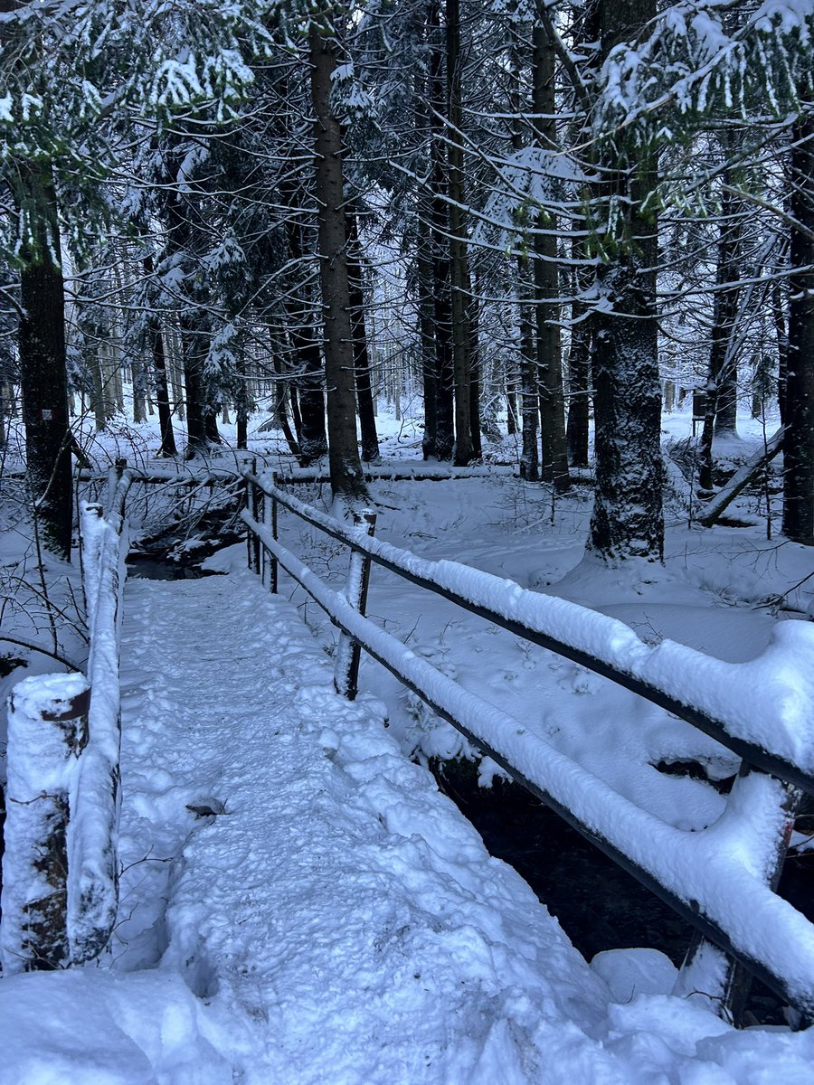 AlessandraDini's tweet photo. #appenninotoscoemiliano #rifugiolagdei #corniglio toccata e fuga in Emilia Romagna 🎄🎅 🥶 https://t.co/8mH4G6DE4x