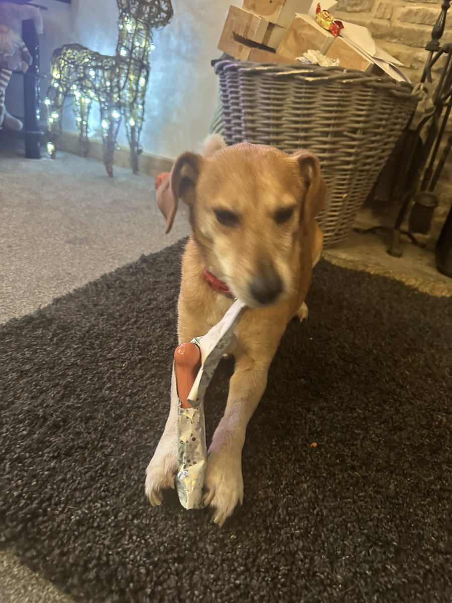 Kyra Horlock tweet media