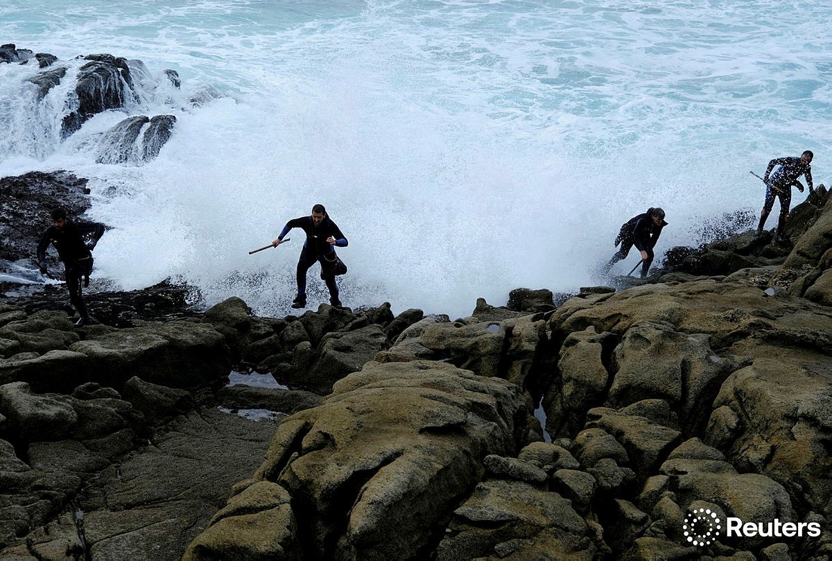 NachoDoce12's tweet photo. Barnacle pickers, collect barnacles on the rocks of Coast of Death (Costa Da Morte) on the Ocean Atlantic in the Galicia region, near Corme https://t.co/ZENBBeNrkw