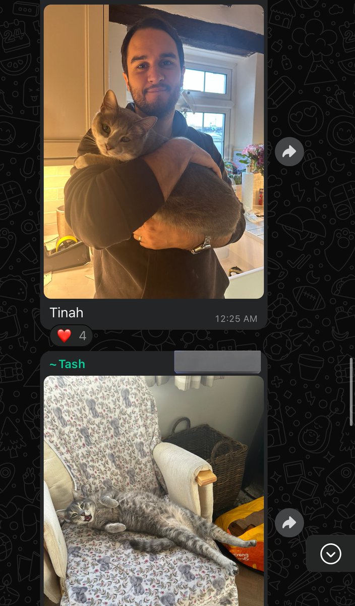 اجمل شي بالنسبة لي في نهاية السنه الميلادية 
هي التحديثات اللي توصلني من متبنين الحيوانات اللي انقذتها 

شعور جميل كيف انهم مبسوطين ومازالوا يتذكروني كل سنه يطمنوني عليهم 💙💙