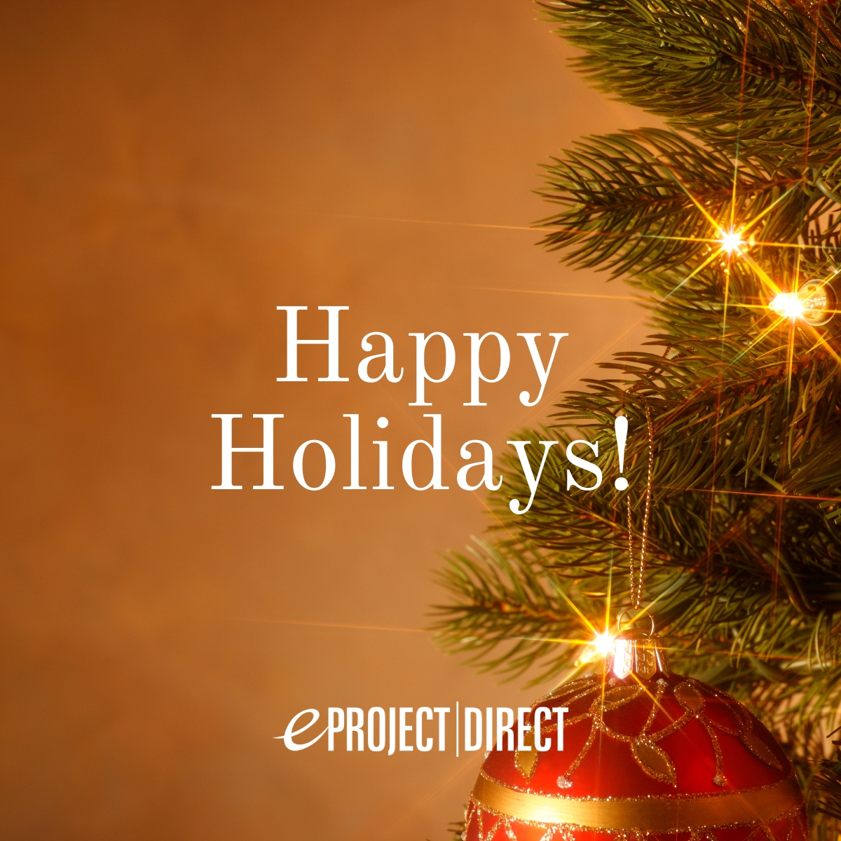 🎄✨ Happy Holidays from eProject Direct! 🎁❄️ We're grateful for YOU, our amazing community! Thank you for your support! Wishing you joy and love this season! 🌟 #HappyHolidays #ThankYou