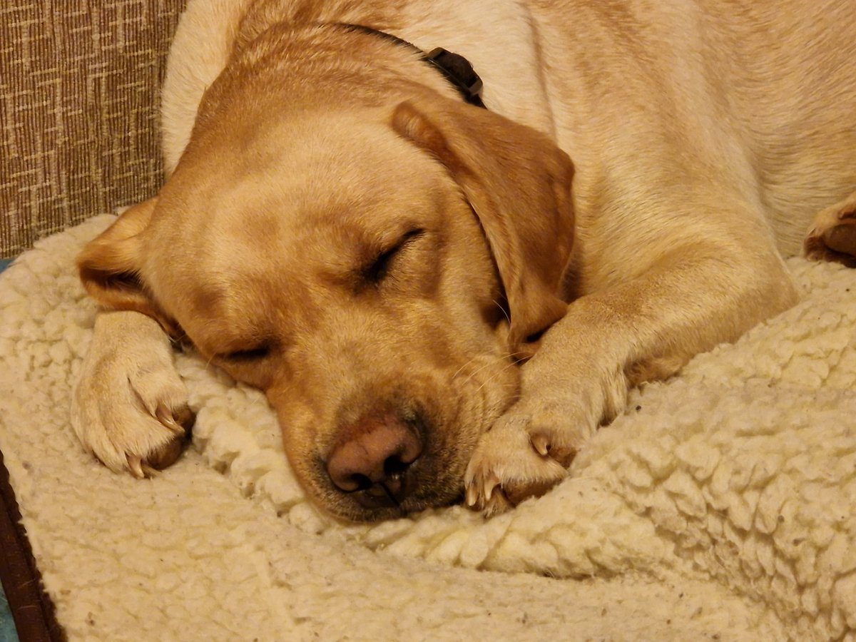 Dr Peter Caddick-Adams #StandwithUkraine tweet media