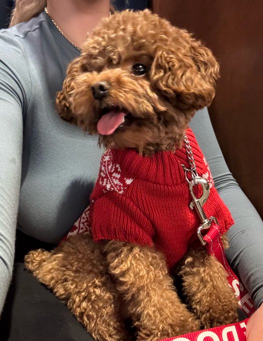 2 pic. Merry Christmas from my family to yours ❤️ https://t.co/tNyxM1UxKw