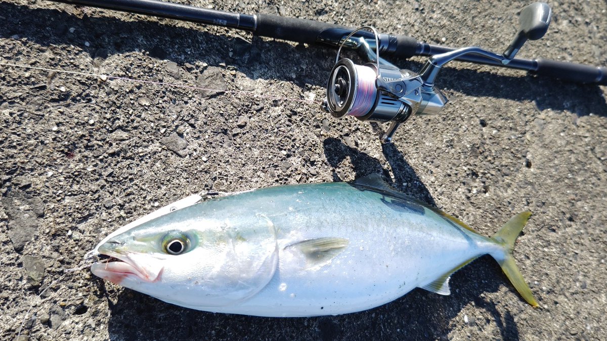 潮止まりに
ボトムちょんちょんで。
#ネコメタル
#issei