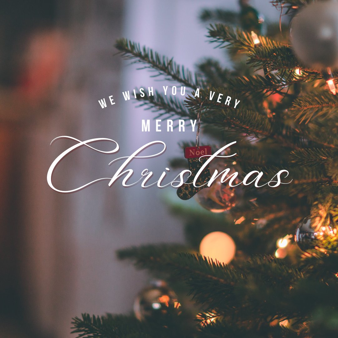 SF_FatLoss's tweet photo. We hope your Christmas is merry &amp; bright! Merry Christmas ✨🌲

#merrychristmas #christmas #merry #family #wonderful #holiday #december #christmas2024 https://t.co/XezX6Ltrhk