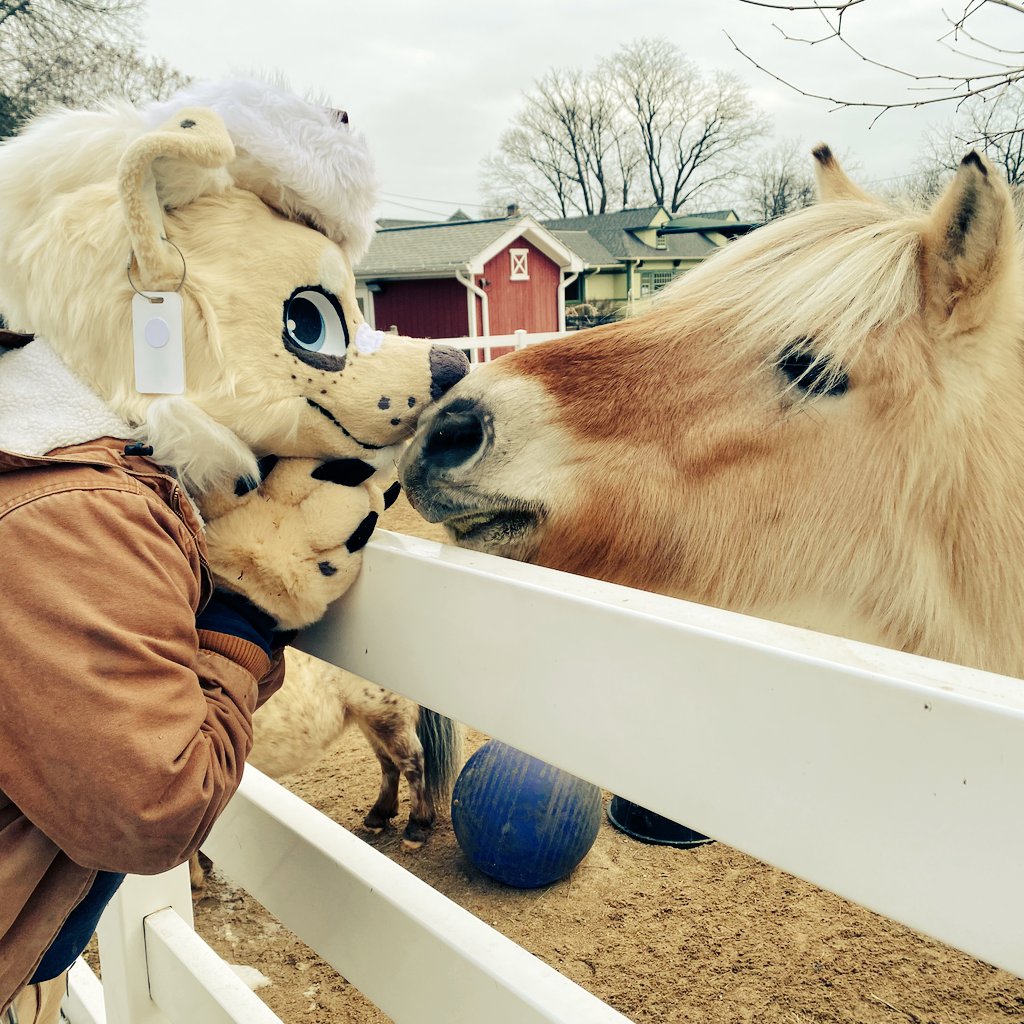 horsey howlidays and moo-ry christmas to you all from a little farm dog! 🎄✨ i had to work today but it wasn't so bad-- we got to make the most of it and give the animals a fun little visit from santa paws! 💛

🪡 - <a href="/Shwitcreations/">Shwit Fur Creations - ON BLUESKY !!</a>
