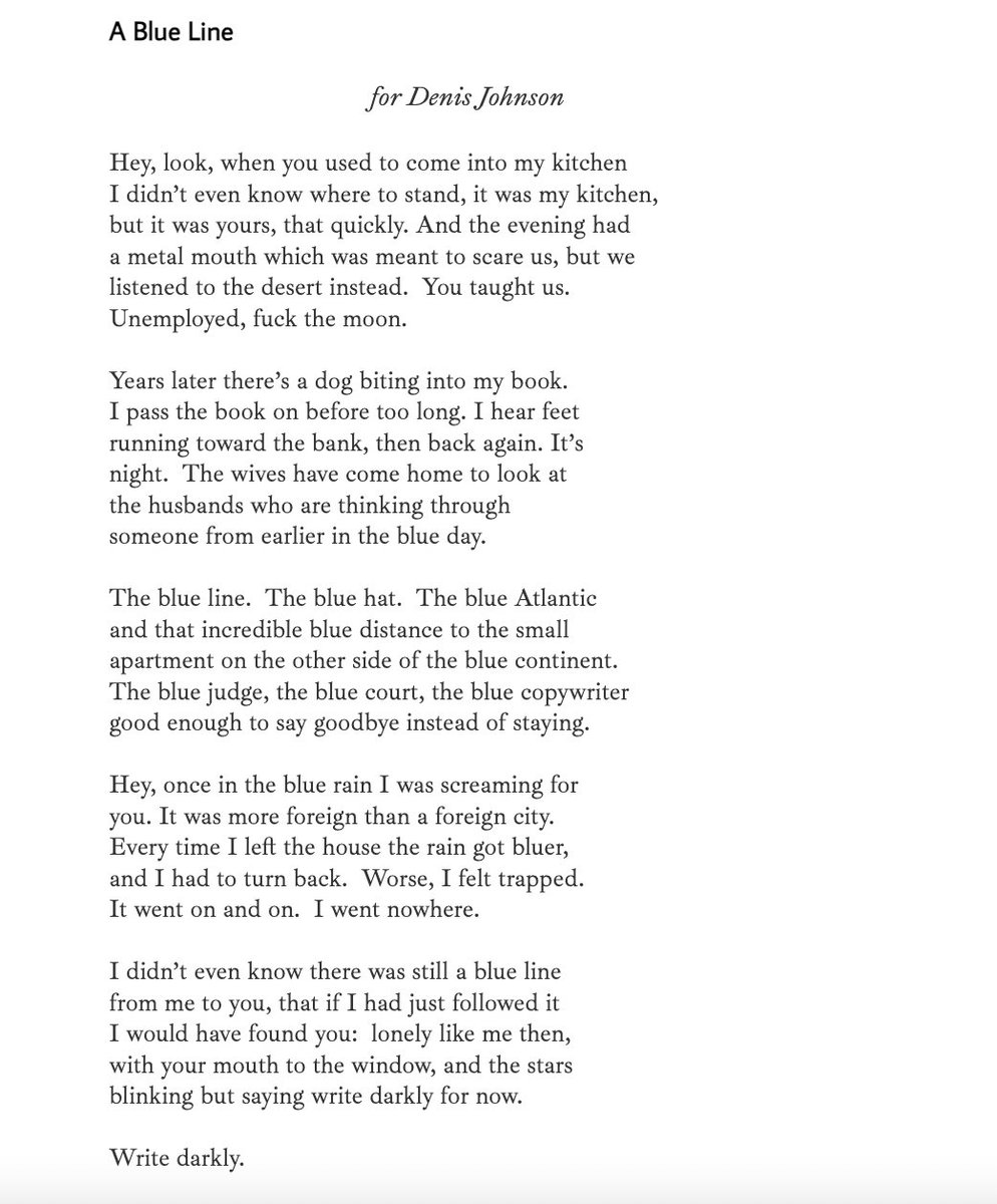 Alina Stefanescu tweet media