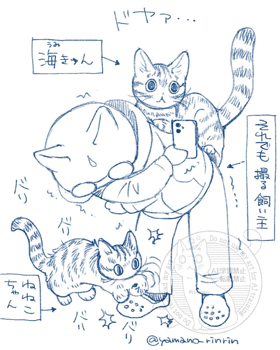 おはようございます～

飼い主の背中でドヤる海きゅん🐈と
飼い主の室内履きでバリバリするねねこちゃん🐈

#今日の山野絵 