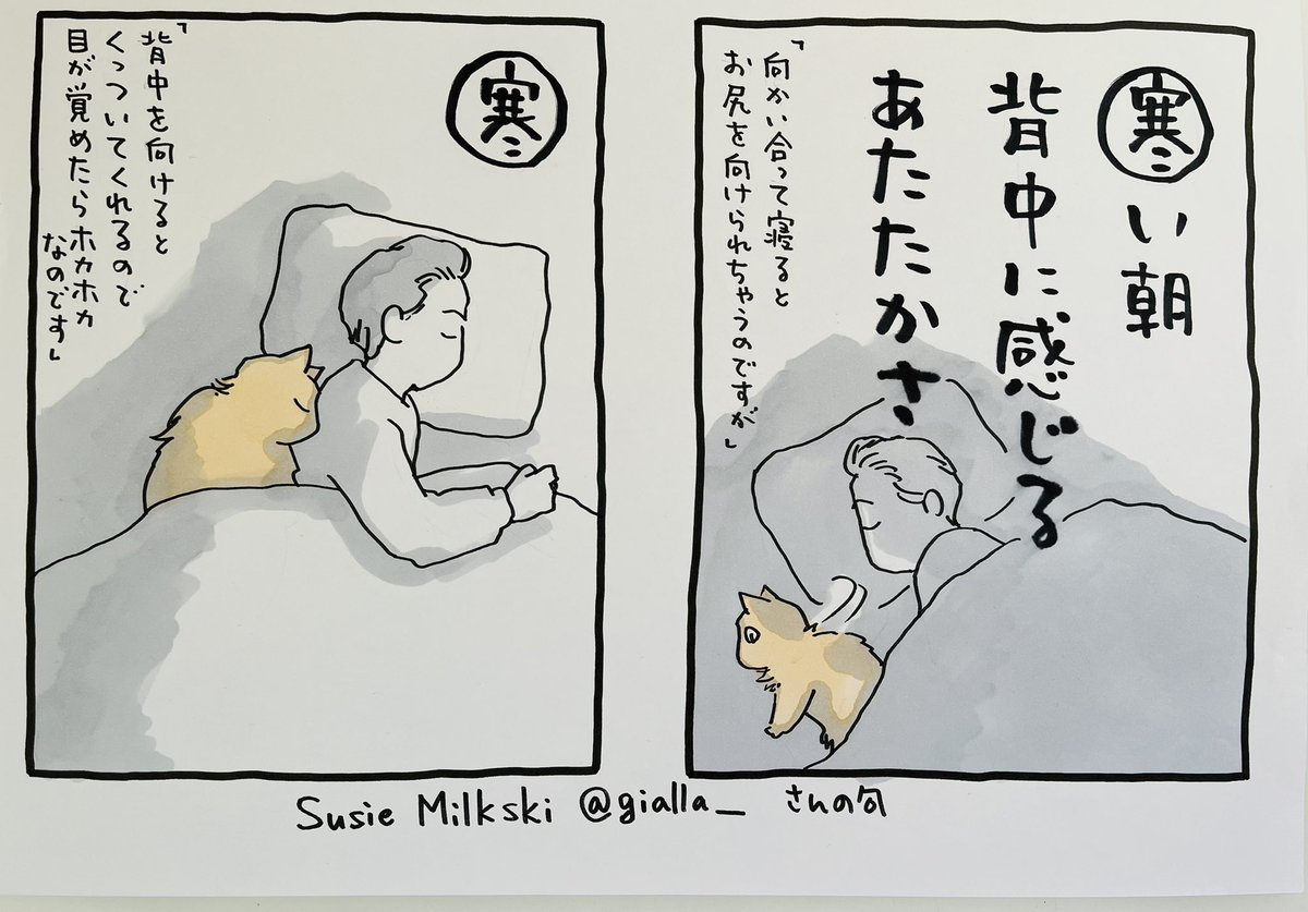 起きてる人、おはよう
寝る人、おやすみ
今日に立ち向かう人、、、ファイト!
皆様と私のコラボ #夜廻り猫カルタ
SuzieMilksukiさん@gialla_ の句です。
これはすごくリアルな、、、
猫がいた時の重さと温かさを思い出します。
ありがとうございます💐
(私の猫はだんだん軽くなって