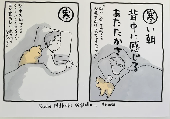 起きてる人、おはよう
寝る人、おやすみ
今日に立ち向かう人、、、ファイト!

皆様と私のコラボ #夜廻り猫カルタ
SuzieMilksukiさん@gialla_ の句です。
これはすごくリアルな、、、
猫がいた時の重さと温かさを思い出します。
ありがとうございます💐

(私の猫はだんだん軽くなって 