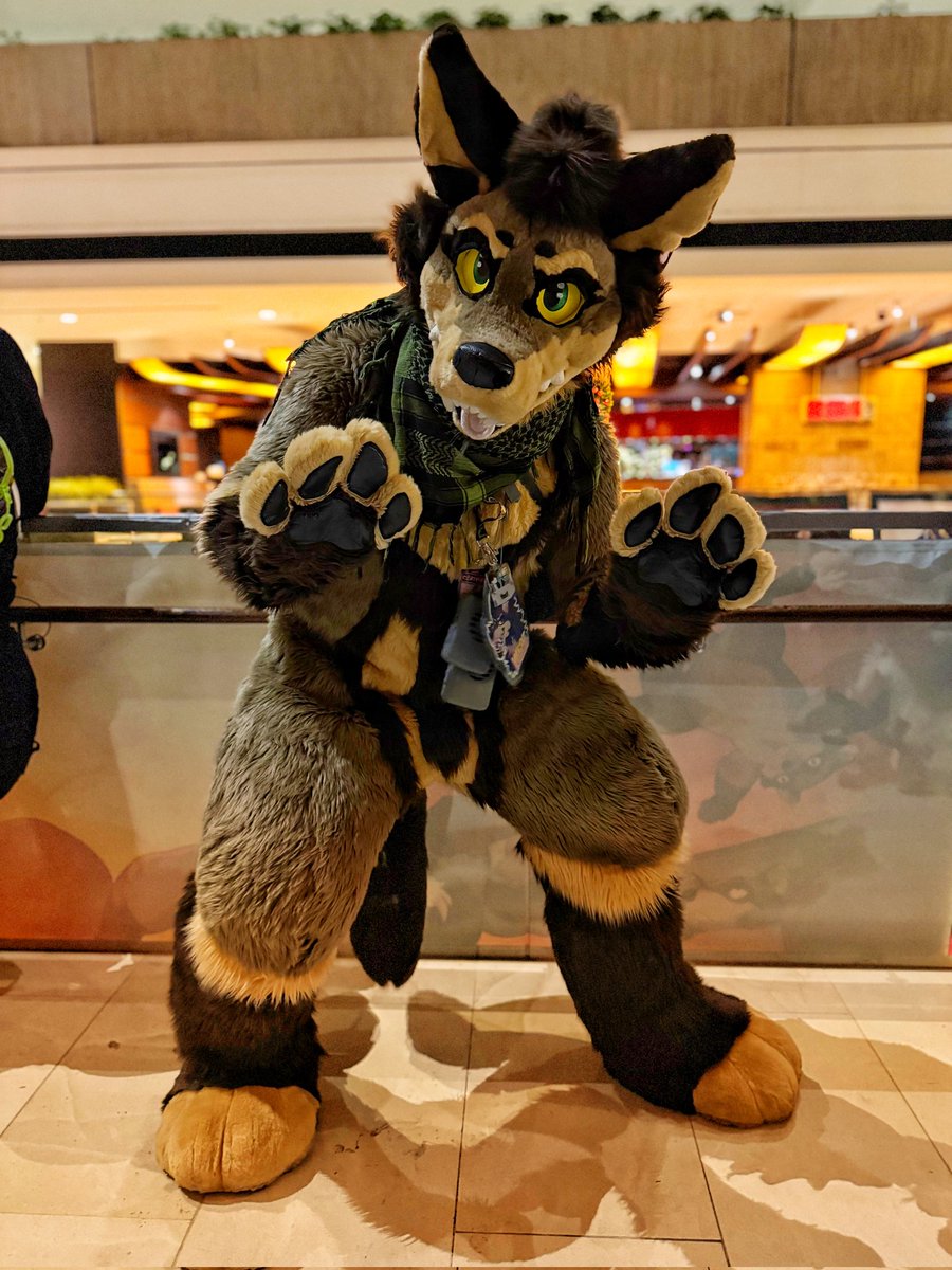 West (@mochayote) on Twitter photo Hope you're having a good holiday! If not, coyote snugs will fix that...
📸 <a href="/RyuuxReini/">Ryūnarios 🔜 Animalz, EF, EAST</a> Hope you're having a good holiday! If not, coyote snugs will fix that...
📸 <a href="/RyuuxReini/">Ryūnarios 🔜 Animalz, EF, EAST</a>