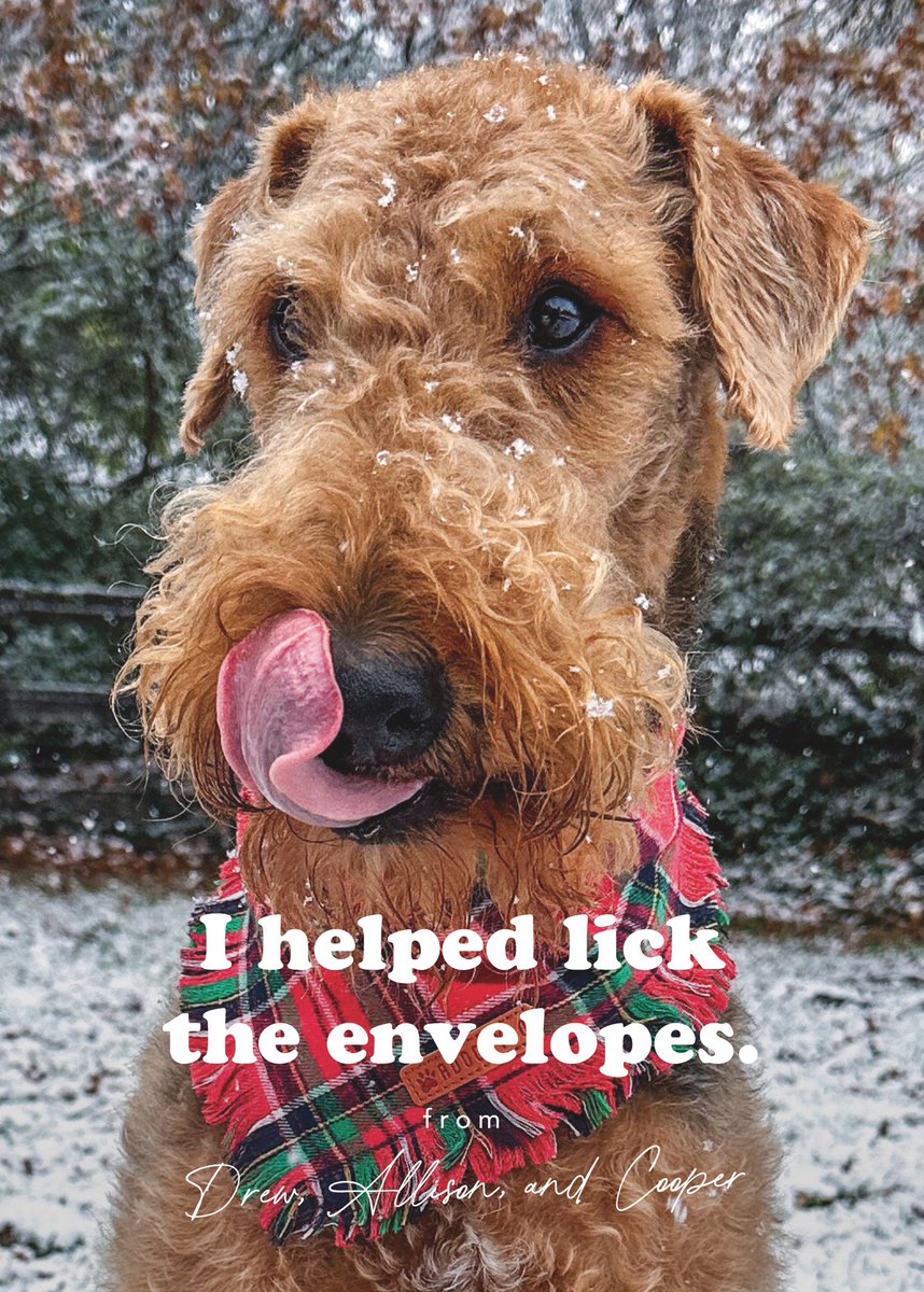 Allison McKenzie tweet media