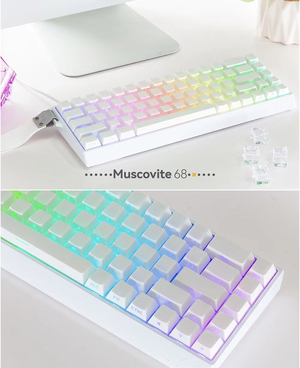 MYTRENDGG's tweet photo. 📢人気商品再入荷情報📢
IYX MU68 PRO Whiteが再入荷致しました!
大変お待たせ致しました!在庫切れた後多くのお問い合わせ誠にありがとうございました🙇
商品ページにてご購入が可能です。
↓
https://t.co/QzydJsbBsr
⚠️年内最終発送日が明日のみとなっております。⚠️
#IYX
#mu68pro
#ゲーミングキーボード
#ラピットトリガー