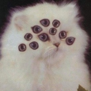 PunchingCat's tweet photo. https://t.co/UNqSdjIAXm