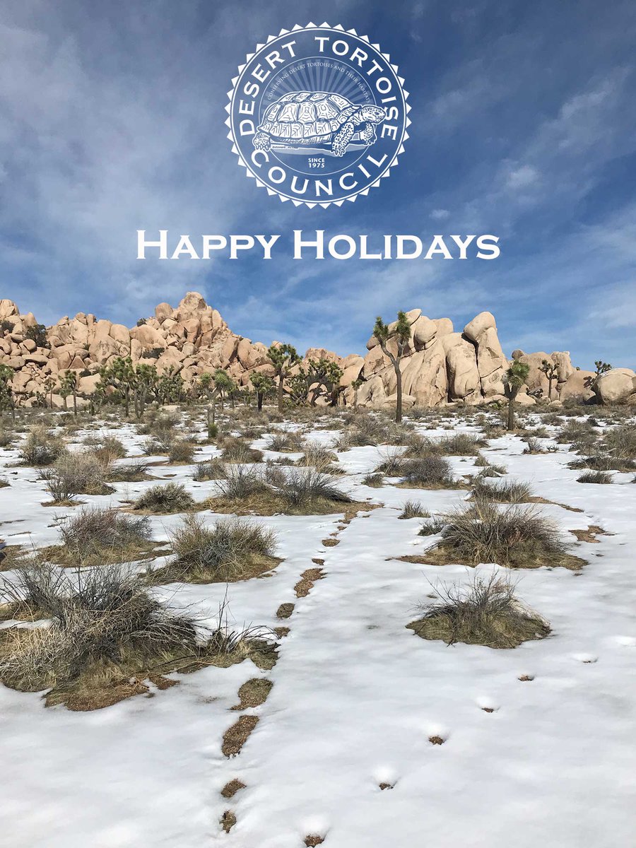 DTCouncil's tweet image. The Desert Tortoise Council wishes you and yours the Happiest of Holidays!