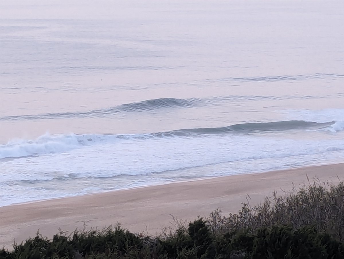 Nico Trajtenberg 🐝 @nicotrajtenberg.bsky.social tweet media