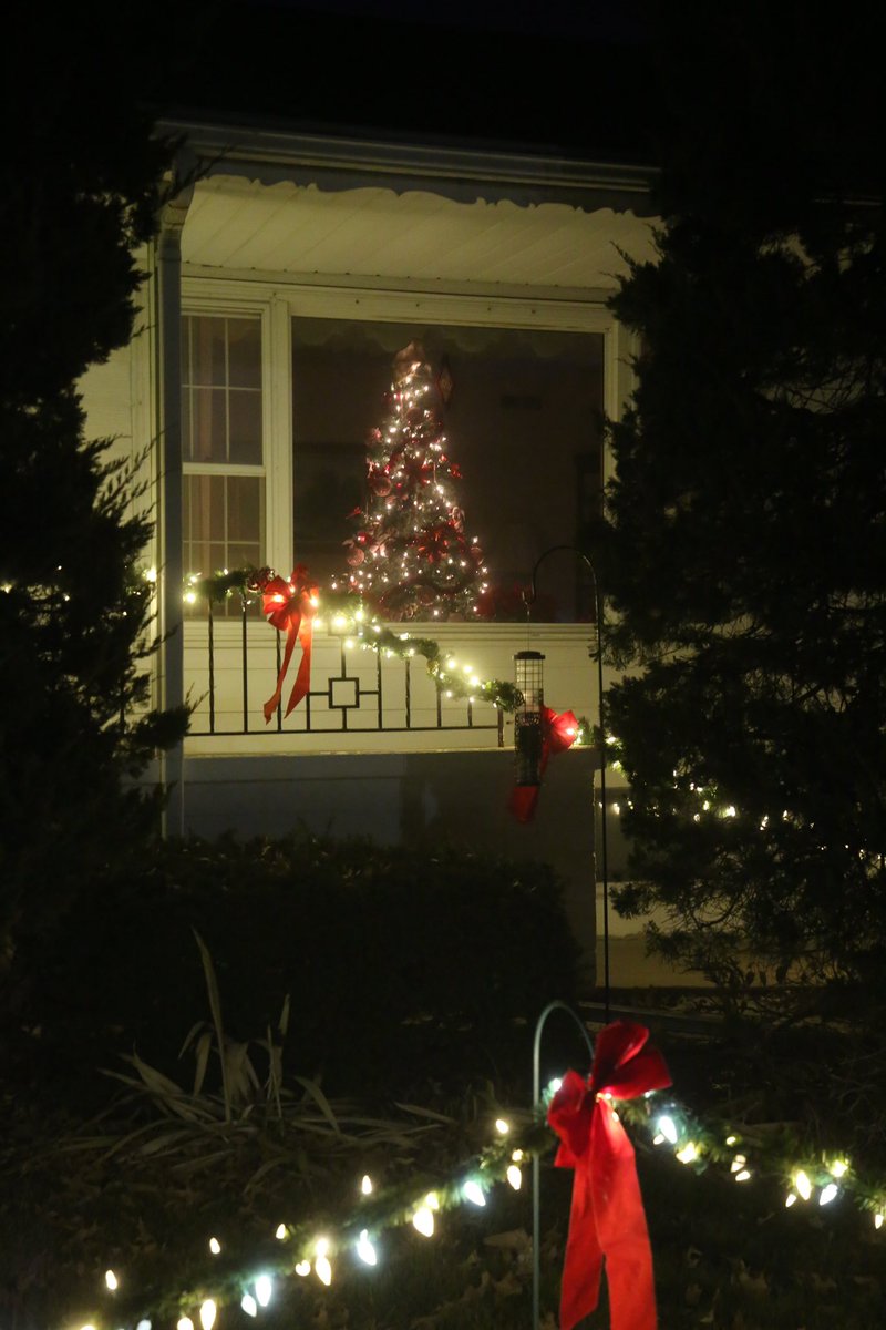 #MerryChristmas from Sweet Pea