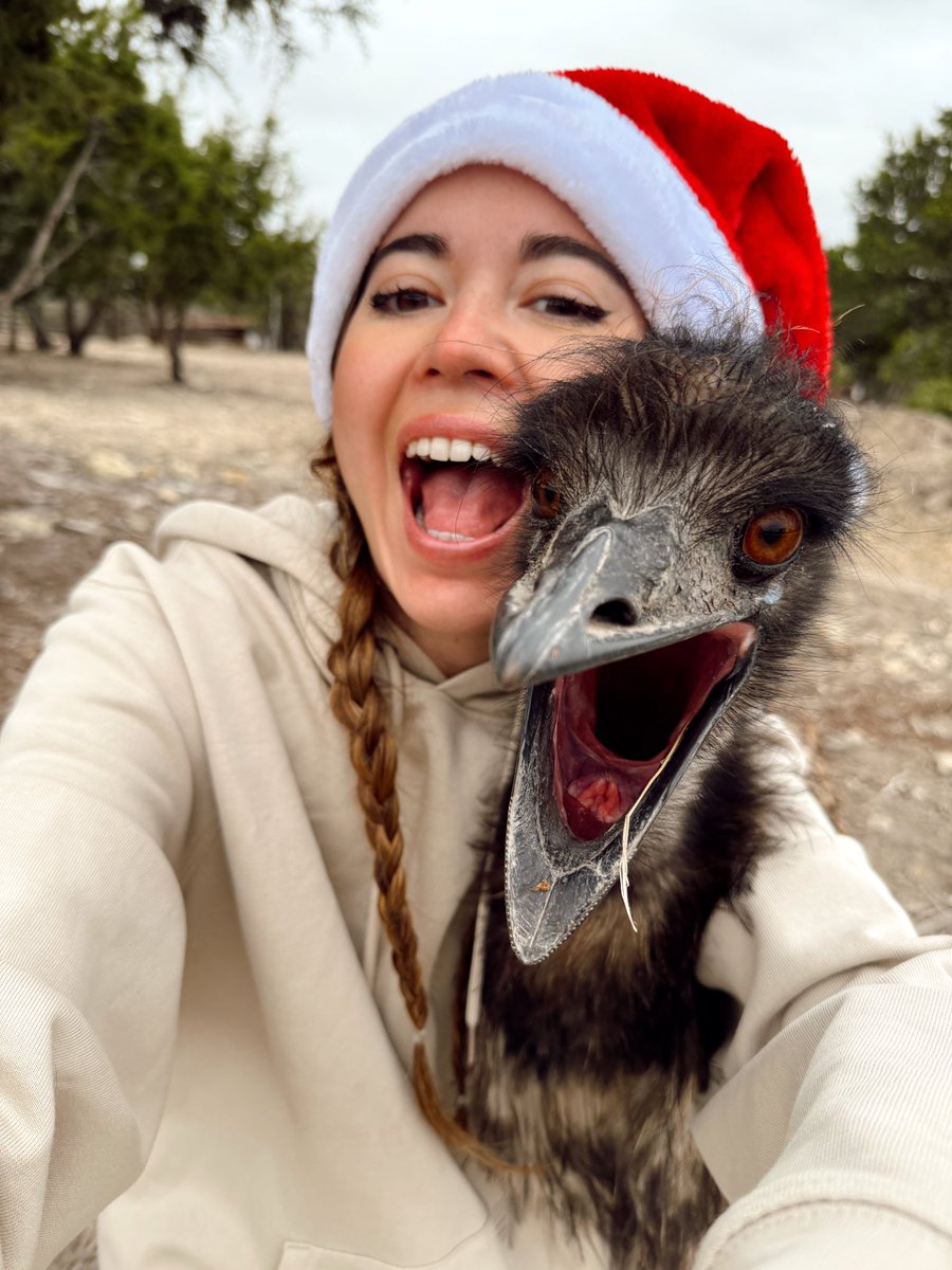 mayahiga's tweet photo. all stompy wants for christmas is for u to follow @AlveusSanctuary :) https://t.co/yEhp5QhawV