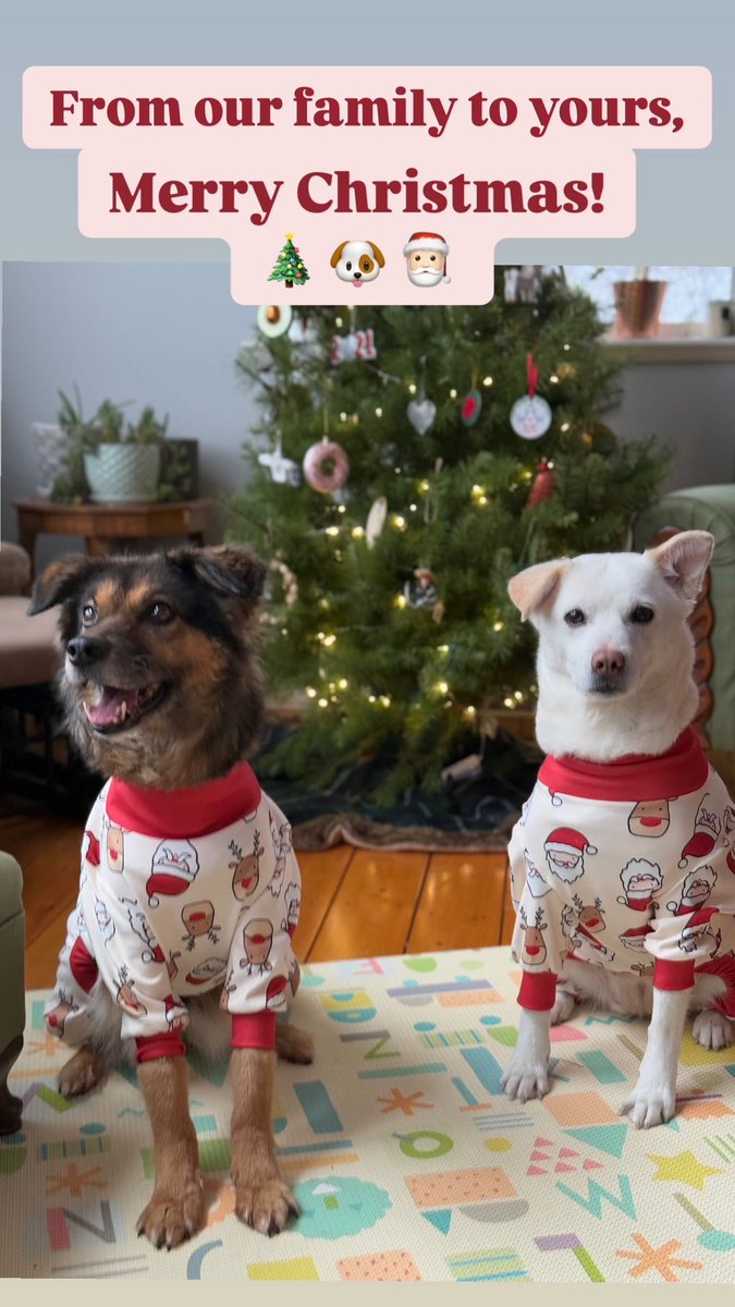 From our family to yours, have a very Merry Christmas!
