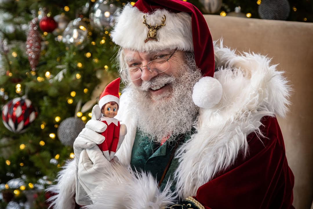 Our seasonal intern Alfie is heading back to the North Pole! Thank you for spreading your holiday cheer around the office. We'll miss your festive spirit while you are gone. 🎅❤️