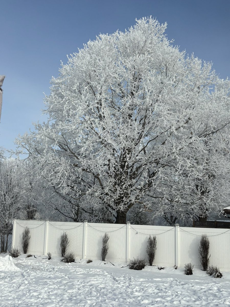 Luke Sampe tweet media