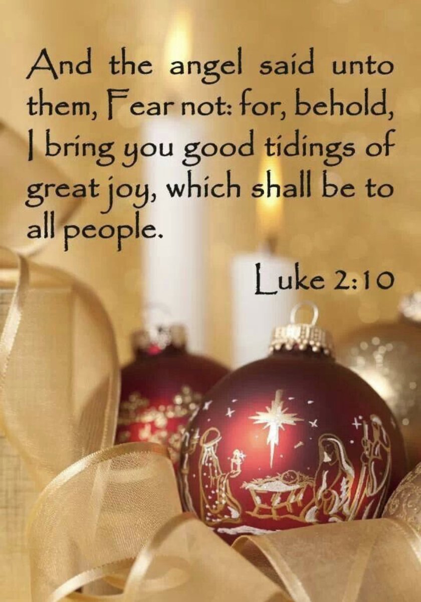 VoteReference's tweet image. Merry Christmas! 🙏🏻🌟💗