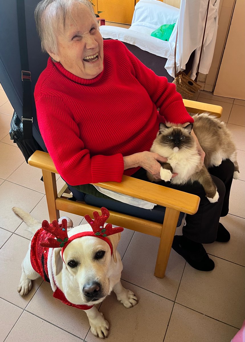 Per què avui,25 de desembre,he visitat un centre? 
Per somriures com aquest!Bon Nadal! 
😍
¿Por qué hoy,25 de diciembre,he ido en un centro?¡Por sonrisas como esta! 
¡Feliz Navidad! 
😍
Why I have been to a center on the 25th December? 
To see smiles like this one!