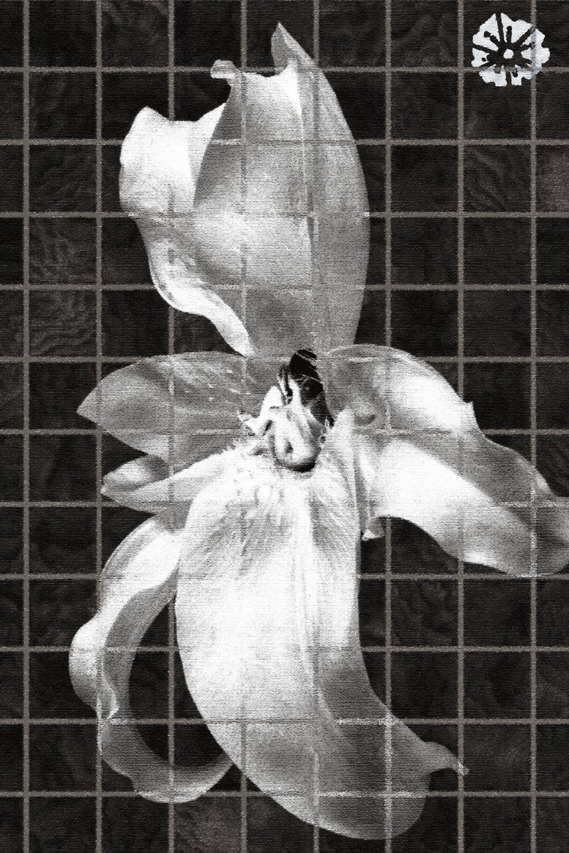 asianshack_1's tweet image. Untouched
#art #artist #prints #posterdesign #Graphic #GraphicDesigner #AdobePhotoshop