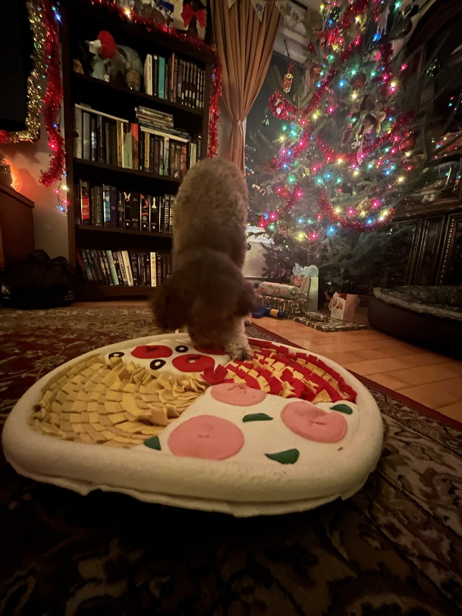 Joyeuses fêtes à tous ! ❤️ Profitez bien de la famille et des amis, c’est important !

PS : J’essaie de finir la prochaine vidéo avant la fin de l’année (j’espère) 👀 Je vous tiens au courant !