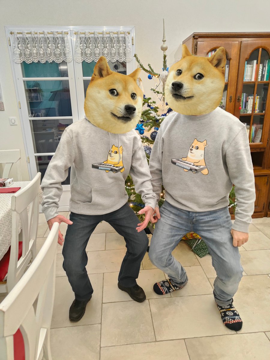 Fantoumi's tweet photo. Who let the Doge out ? 🎄🎁♥️🐶 https://t.co/crXcp0vOmI