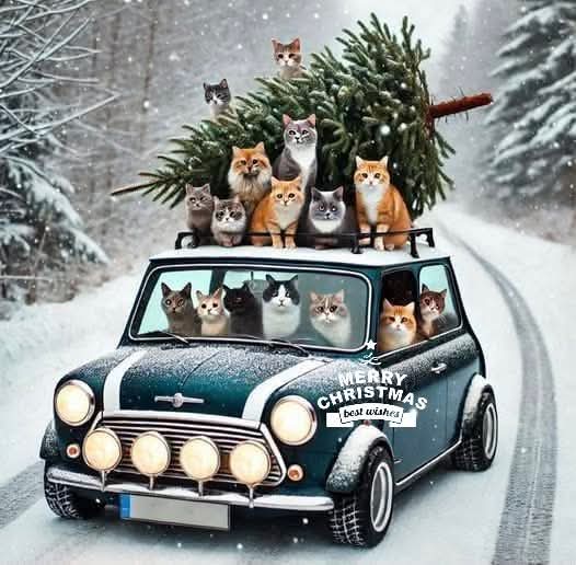 Vrolijk kerstfeest allemaal. Merry Christmas to you alle.